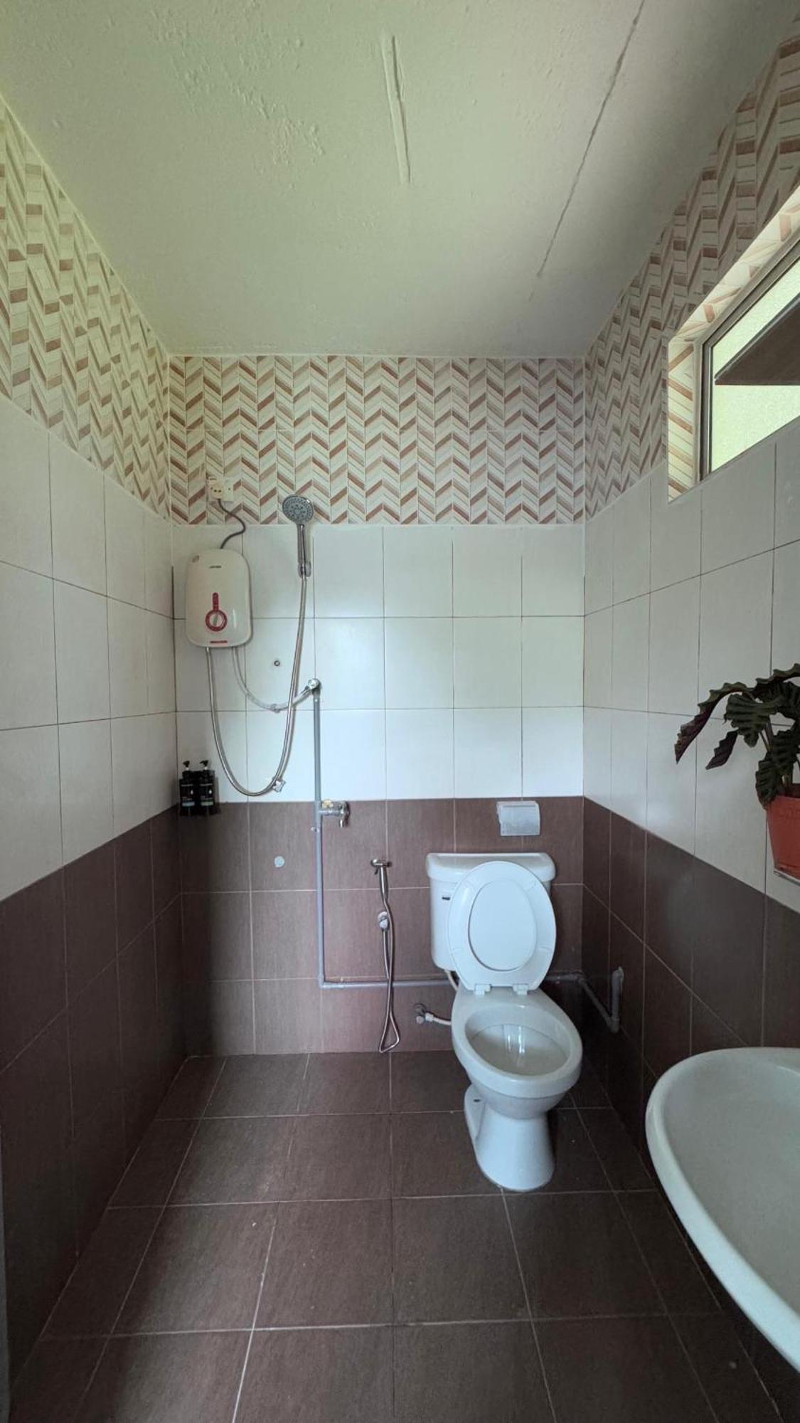 Dvilla Guesthouse Langkawi Dış mekan fotoğraf